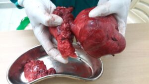 Yosemite National Park